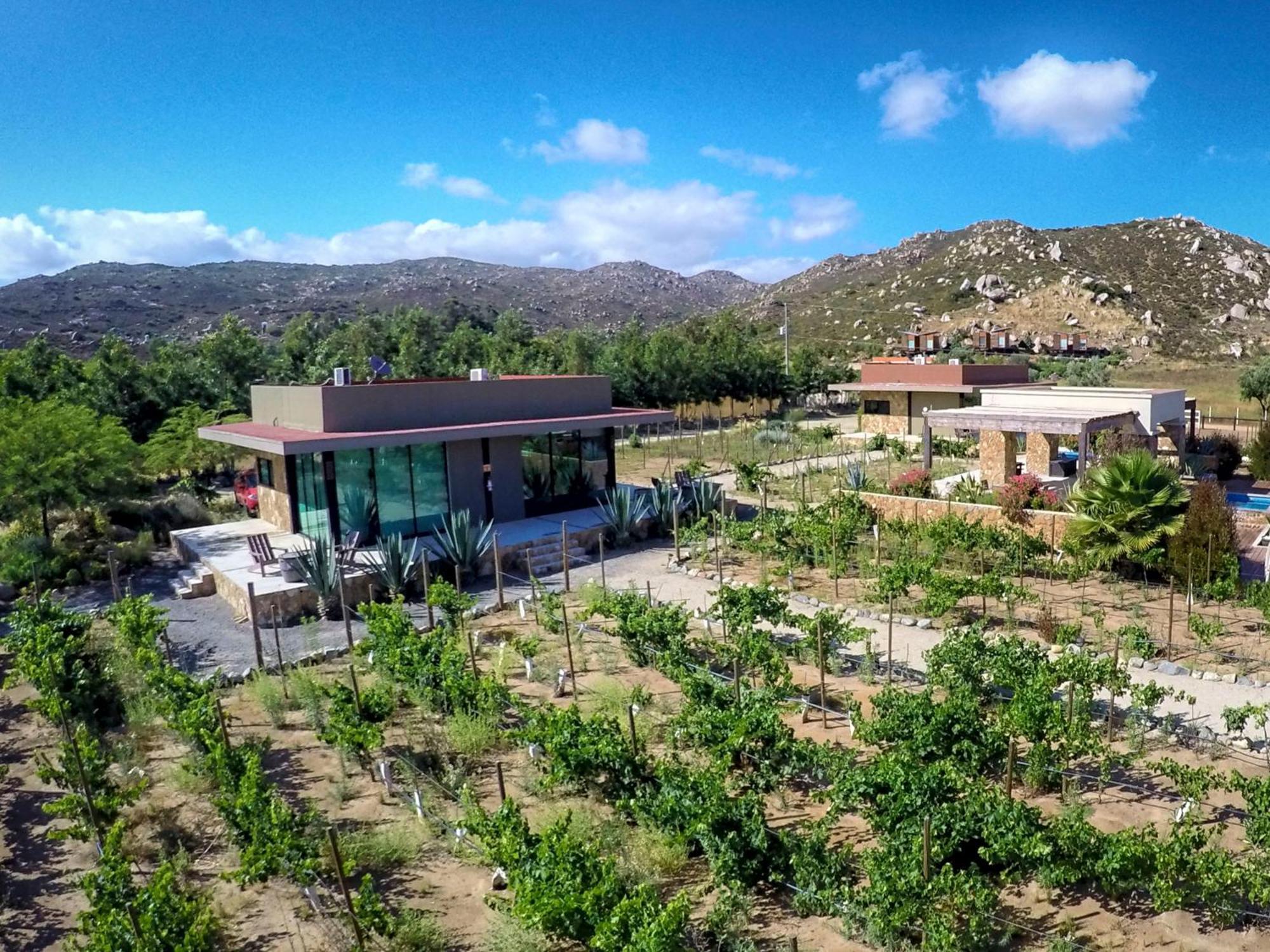 Hotel Boutique Valle De Guadalupe & Spa Ruang foto